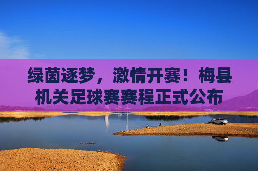 绿茵逐梦,激情开赛!梅县机关足球赛赛程正式公布