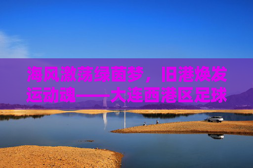 海风激荡绿茵梦,旧港焕发运动魂——大连西港区足球赛纪实