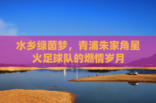 水乡绿茵梦,青浦朱家角星火足球队的燃情岁月