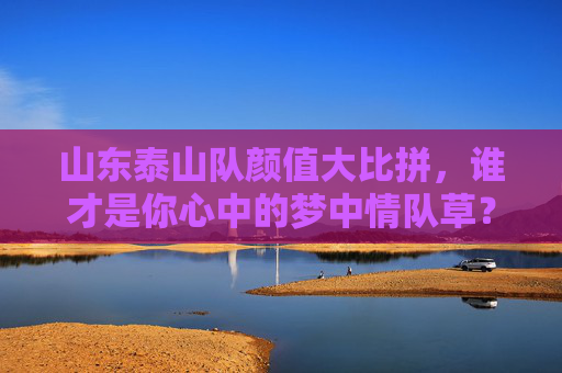 山东泰山队颜值大比拼,谁才是你心中的梦中情队草?