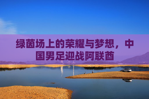 绿茵场上的荣耀与梦想,中国男足迎战阿联酋