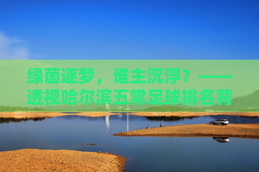 绿茵逐梦,谁主沉浮?——透视哈尔滨五常足球排名背后的激情与挑战