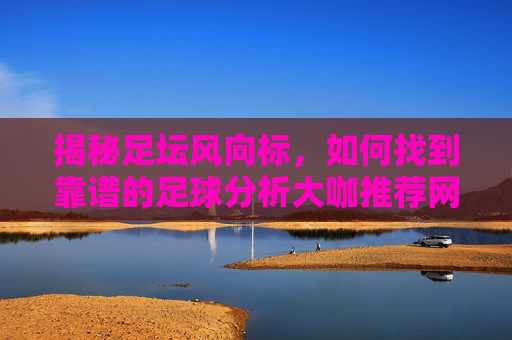 揭秘足坛风向标,如何找到靠谱的足球分析大咖推荐网站?