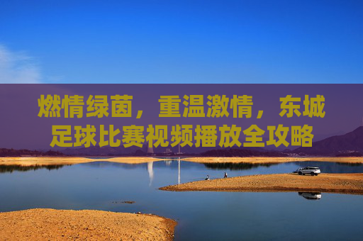 燃情绿茵,重温激情,东城足球比赛视频播放全攻略