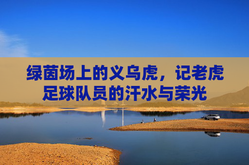 绿茵场上的义乌虎,记老虎足球队员的汗水与荣光