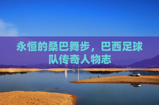 永恒的桑巴舞步,巴西足球队传奇人物志