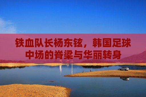 铁血队长杨东铉,韩国足球中场的脊梁与华丽转身