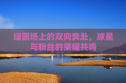 绿茵场上的双向奔赴,球星与粉丝的荣耀共鸣