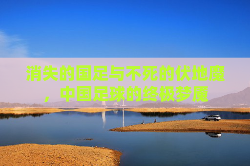 消失的国足与不死的伏地魔,中国足球的终极梦魇