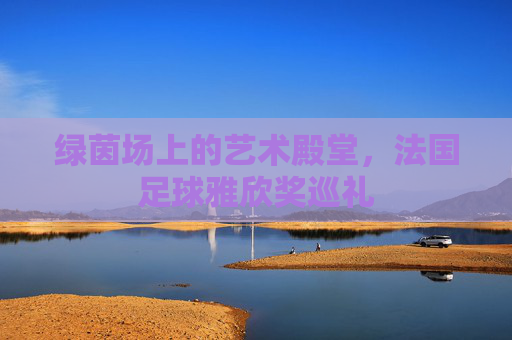 绿茵场上的艺术殿堂,法国足球雅欣奖巡礼