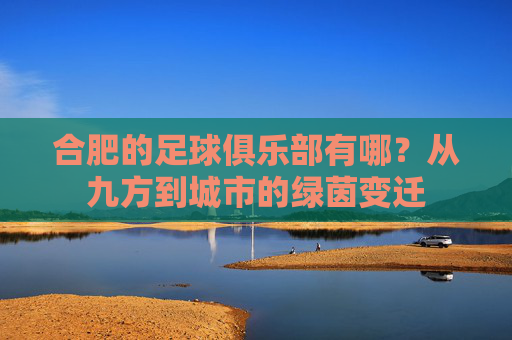 合肥的足球俱乐部有哪?从九方到城市的绿茵变迁