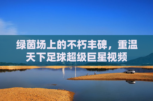 绿茵场上的不朽丰碑,重温天下足球超级巨星视频