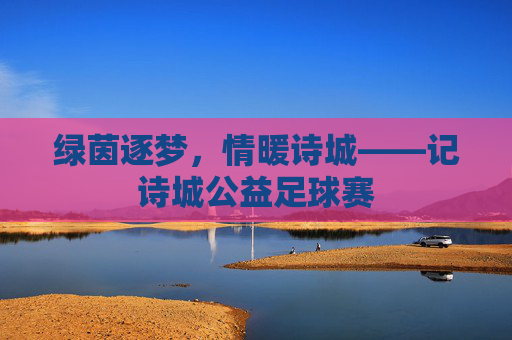 绿茵逐梦,情暖诗城——记诗城公益足球赛
