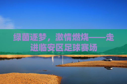 绿茵逐梦,激情燃烧——走进临安区足球赛场