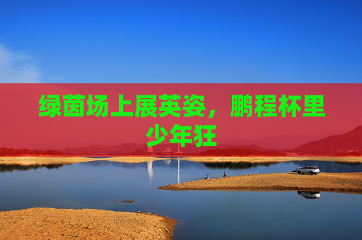 绿茵场上展英姿，鹏程杯里少年狂