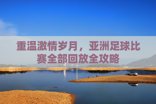 重温激情岁月,亚洲足球比赛全部回放全攻略