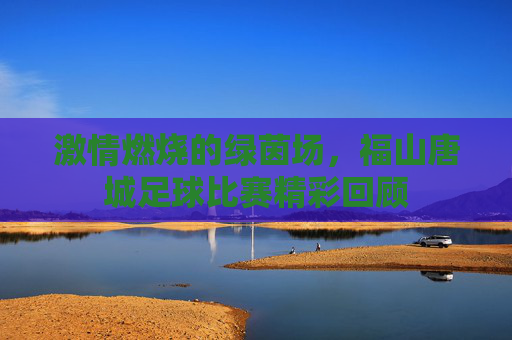 激情燃烧的绿茵场,福山唐城足球比赛精彩回顾