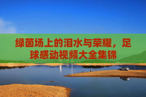 绿茵场上的泪水与荣耀，足球感动视频大全集锦