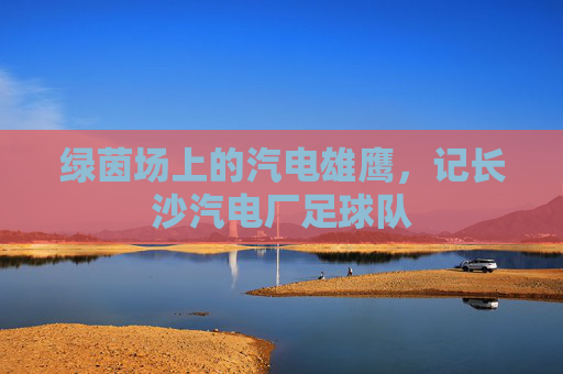 绿茵场上的汽电雄鹰，记长沙汽电厂足球队