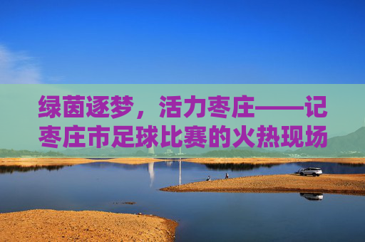 绿茵逐梦,活力枣庄——记枣庄市足球比赛的火热现场