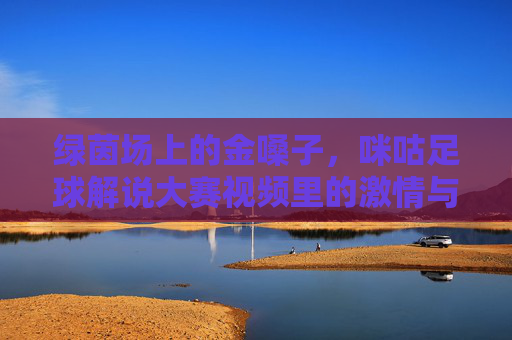 绿茵场上的金嗓子,咪咕足球解说大赛视频里的激情与梦想