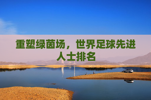 重塑绿茵场,世界足球先进人士排名