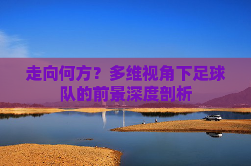 走向何方?多维视角下足球队的前景深度剖析