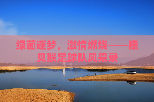 绿茵逐梦,激情燃烧——康贝联足球队风采录