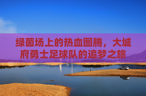绿茵场上的热血图腾,大城府勇士足球队的追梦之旅