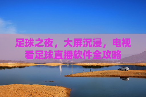 足球之夜,大屏沉浸,电视看足球直播软件全攻略
