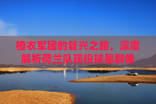 橙衣军团的复兴之路，深度解析荷兰队现役球星群像