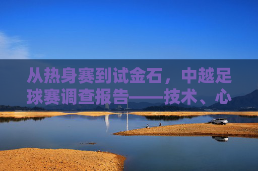从热身赛到试金石,中越足球赛调查报告——技术、心理与体制的深度剖析