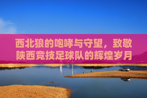 西北狼的咆哮与守望，致敬陕西竞技足球队的辉煌岁月