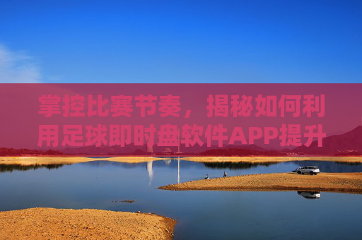 掌控比赛节奏，揭秘如何利用足球即时盘软件APP提升投注胜率