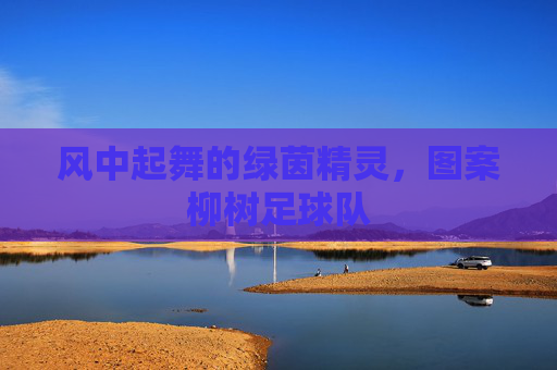 风中起舞的绿茵精灵,图案柳树足球队