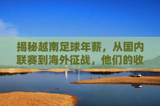 揭秘越南足球年薪，从国内联赛到海外征战，他们的收入究竟是多少？