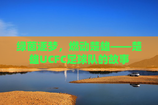 绿茵逐梦,燃动楚雄——楚雄UCFC足球队的故事