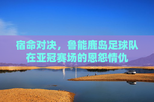 宿命对决,鲁能鹿岛足球队在亚冠赛场的恩怨情仇