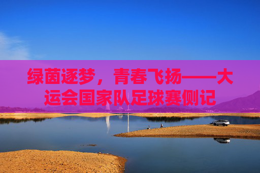 绿茵逐梦,青春飞扬——大运会国家队足球赛侧记