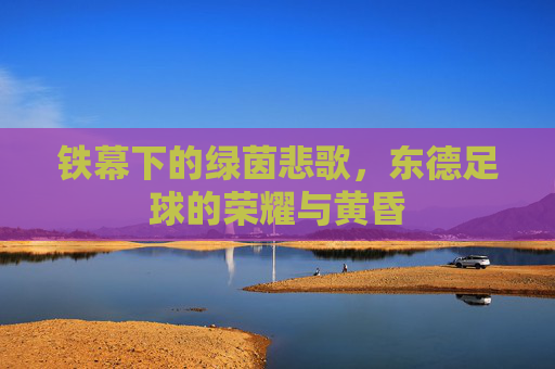 铁幕下的绿茵悲歌,东德足球的荣耀与黄昏
