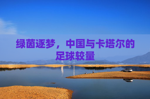 绿茵逐梦,中国与卡塔尔的足球较量