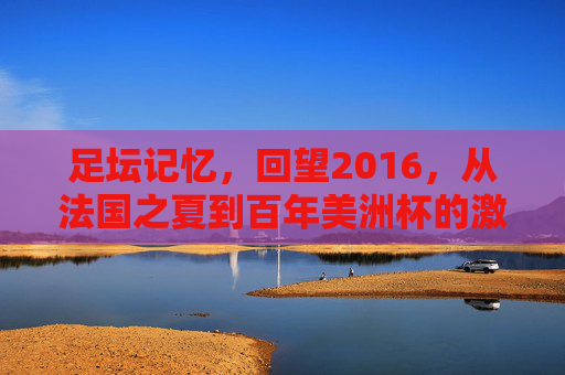 足坛记忆,回望2016,从法国之夏到百年美洲杯的激情岁月