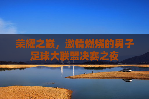 荣耀之巅，激情燃烧的男子足球大联盟决赛之夜