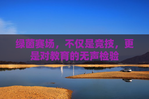 绿茵赛场，不仅是竞技，更是对教育的无声检验
