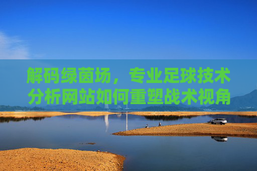 解码绿茵场，专业足球技术分析网站如何重塑战术视角