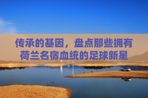 传承的基因,盘点那些拥有荷兰名宿血统的足球新星