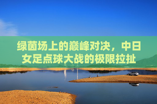 绿茵场上的巅峰对决,中日女足点球大战的极限拉扯