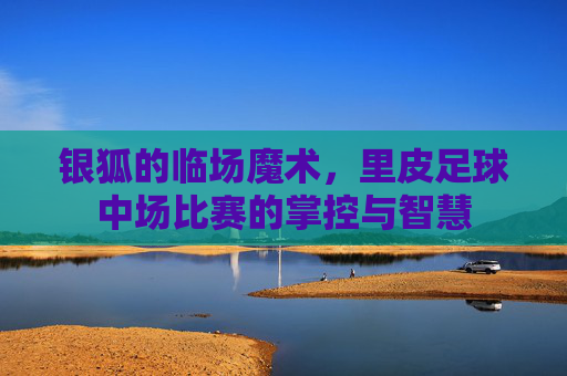 银狐的临场魔术,里皮足球中场比赛的掌控与智慧