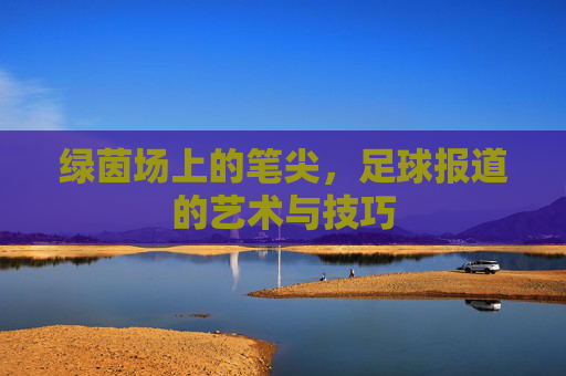 绿茵场上的笔尖,足球报道的艺术与技巧