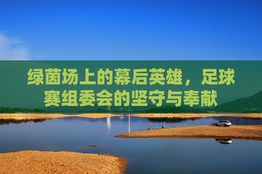 绿茵场上的幕后英雄,足球赛组委会的坚守与奉献